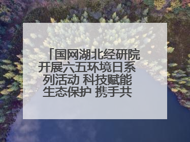 国网湖北经研院开展六五环境日系列活动 科技赋能生态保护 携手共建绿色电网