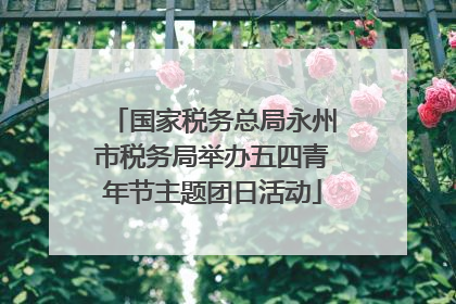 国家税务总局永州市税务局举办五四青年节主题团日活动