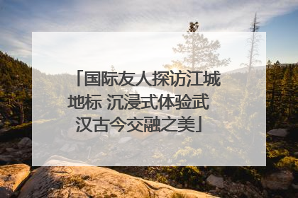 国际友人探访江城地标 沉浸式体验武汉古今交融之美