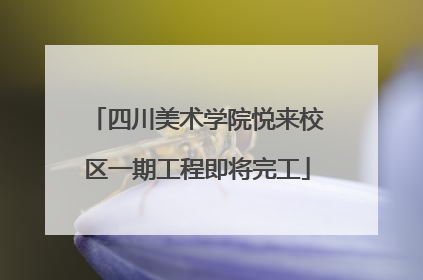 四川美术学院悦来校区一期工程即将完工