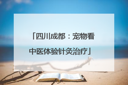 四川成都：宠物看中医体验针灸治疗