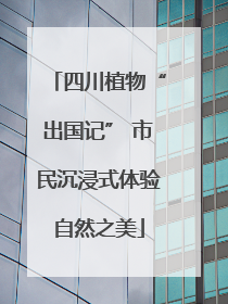 四川植物“出国记” 市民沉浸式体验自然之美