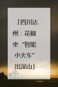 四川达州：花椒坐“智能小火车”出深山