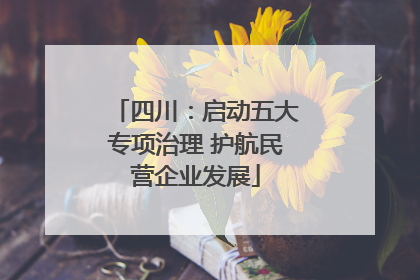 四川：启动五大专项治理 护航民营企业发展