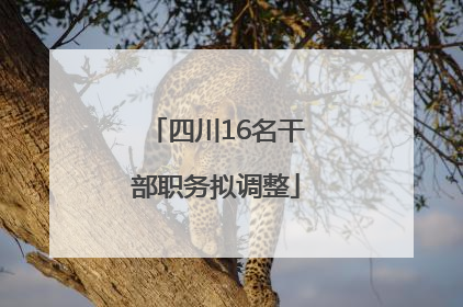 四川16名干部职务拟调整