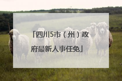 四川5市（州）政府最新人事任免
