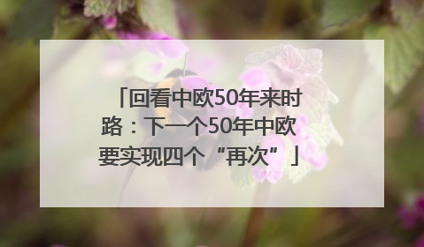 回看中欧50年来时路：下一个50年中欧要实现四个“再次”