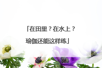 在田里？在水上？瑜伽还能这样练