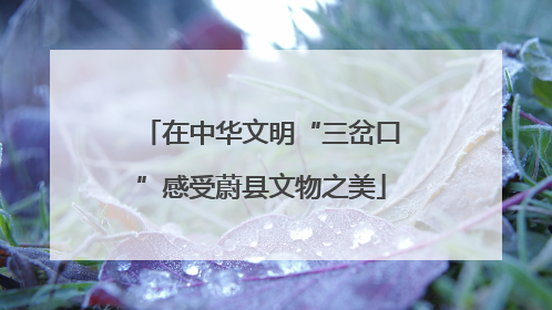 在中华文明“三岔口”感受蔚县文物之美
