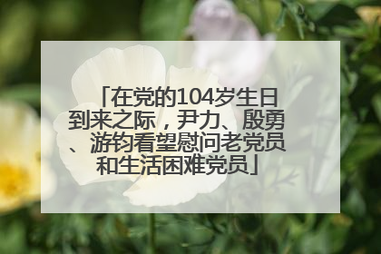 在党的104岁生日到来之际，尹力、殷勇、游钧看望慰问老党员和生活困难党员
