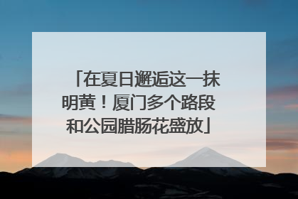 在夏日邂逅这一抹明黄！厦门多个路段和公园腊肠花盛放