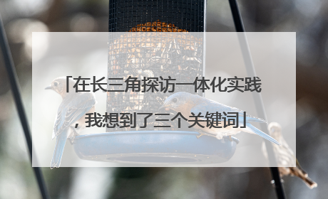 在长三角探访一体化实践，我想到了三个关键词