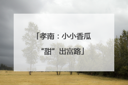 孝南：小小香瓜 “甜”出富路