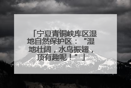 宁夏青铜峡库区湿地自然保护区：“湿地壮阔，水鸟振翅，顶有趣呢！”