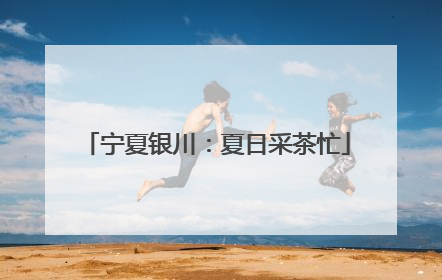 宁夏银川：夏日采茶忙