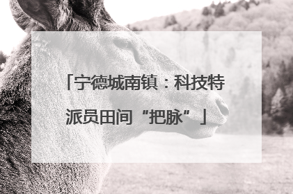 宁德城南镇：科技特派员田间“把脉”