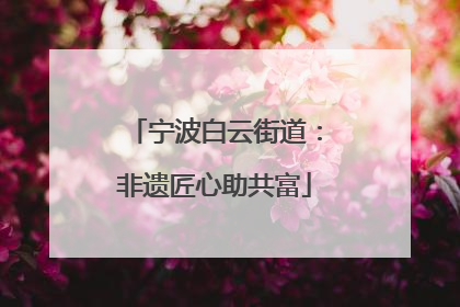 宁波白云街道：非遗匠心助共富