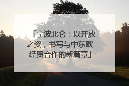 宁波北仑：以开放之姿，书写与中东欧经贸合作的新篇章