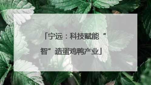 宁远：科技赋能“智”造蛋鸡鸭产业