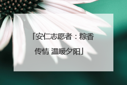 安仁志愿者：粽香传情 温暖夕阳