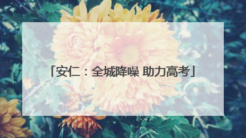 安仁：全城降噪 助力高考