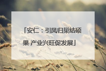 安仁：引凤归巢结硕果 产业兴旺促发展