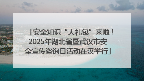 安全知识“大礼包”来啦！2025年湖北省暨武汉市安全宣传咨询日活动在汉举行