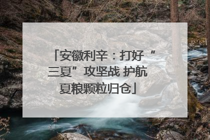 安徽利辛：打好“三夏”攻坚战 护航夏粮颗粒归仓