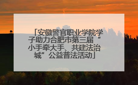 安徽警官职业学院学子助力合肥市第三届“小手牵大手、共建法治城”公益普法活动