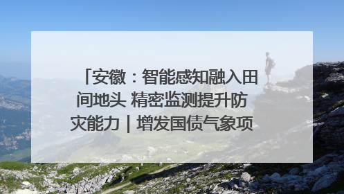 安徽：智能感知融入田间地头 精密监测提升防灾能力｜增发国债气象项目落地见效系列报道