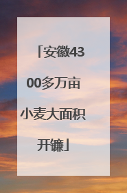 安徽4300多万亩小麦大面积开镰