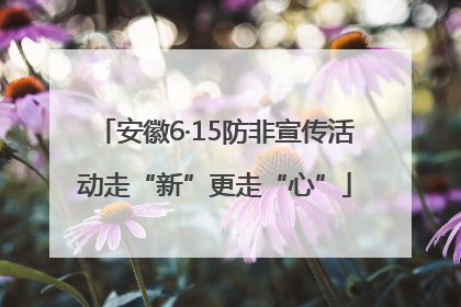 安徽6·15防非宣传活动走“新”更走“心”