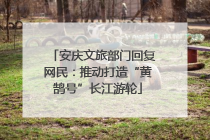 安庆文旅部门回复网民：推动打造“黄鹄号”长江游轮