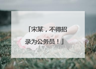 宋某，不得招录为公务员！