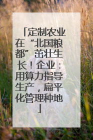 定制农业在“北国粮都”茁壮生长！企业：用算力指导生产，扁平化管理种地