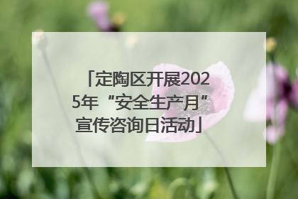 定陶区开展2025年“安全生产月”宣传咨询日活动