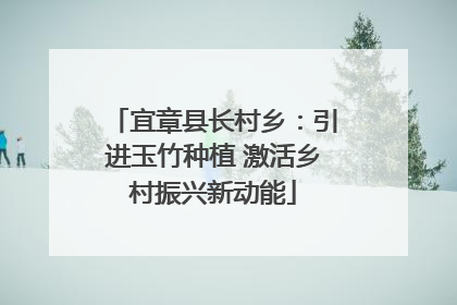 宜章县长村乡：引进玉竹种植 激活乡村振兴新动能