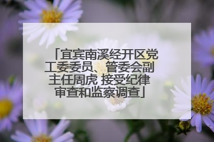 宜宾南溪经开区党工委委员、管委会副主任周虎 接受纪律审查和监察调查
