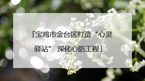 宝鸡市金台区打造“心灵驿站” 深化心防工程