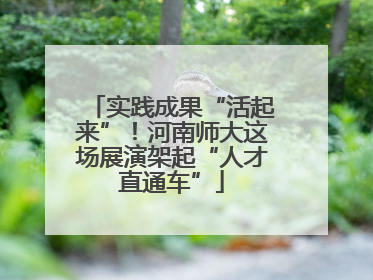 实践成果“活起来”！河南师大这场展演架起“人才直通车”