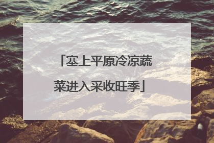 塞上平原冷凉蔬菜进入采收旺季