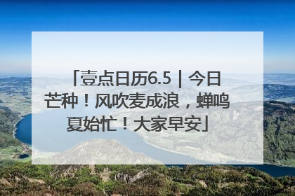 壹点日历6.5｜今日芒种！风吹麦成浪，蝉鸣夏始忙！大家早安