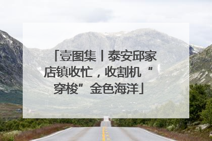 壹图集丨泰安邱家店镇收忙，收割机“穿梭”金色海洋