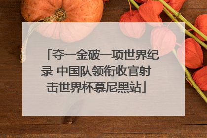夺一金破一项世界纪录 中国队领衔收官射击世界杯慕尼黑站