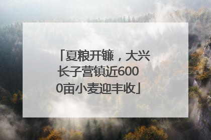 夏粮开镰，大兴长子营镇近6000亩小麦迎丰收
