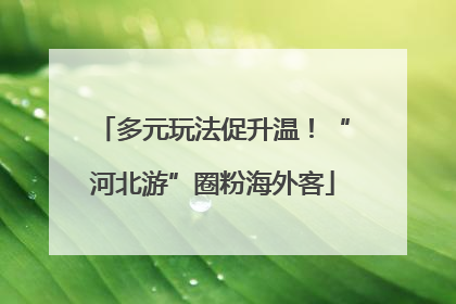 多元玩法促升温！“河北游”圈粉海外客