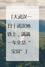 大武汉一日｜武汉地铁上，满满一车全是“宝贝”