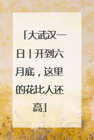 大武汉一日︱开到六月底，这里的花比人还高