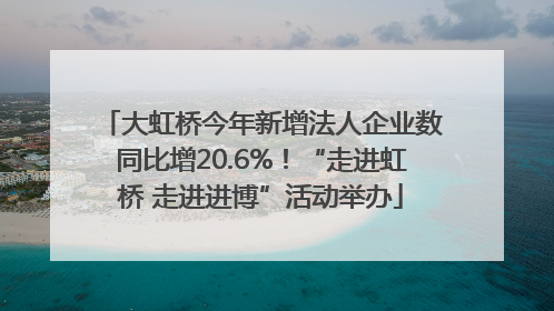 大虹桥今年新增法人企业数同比增20.6%！“走进虹桥 走进进博”活动举办