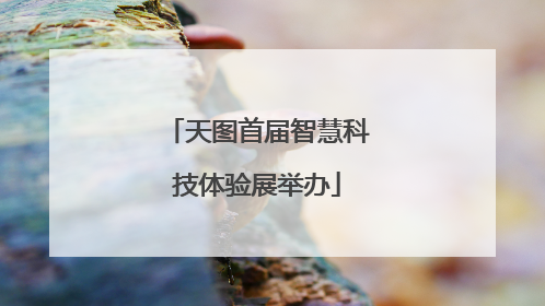 天图首届智慧科技体验展举办